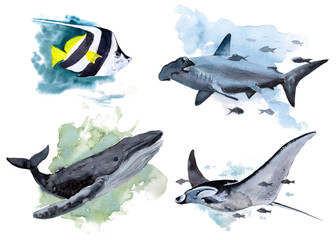 The animal world of the seas and oceans. A set of watercolor illustrations