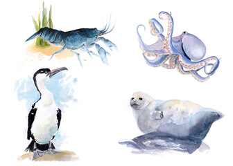 The animal world of the seas and oceans. A set of watercolor illustrations