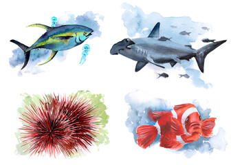 The animal world of the seas and oceans. A set of watercolor illustrations