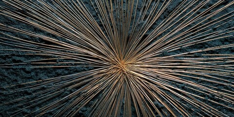 Obraz premium Magnetic Field Lines Iron Filing Visualization Scientific Exploration Physics Demonstration Magnetism Unveiled Close Look Magnetic Force Field Lines Pattern Electromagnetic Phenomenon Study 