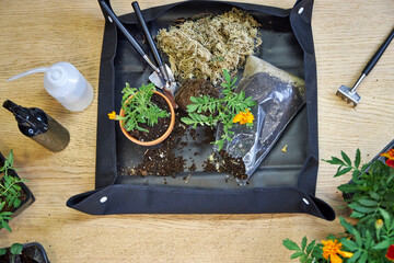 Top view of a black plant repotting mat, gardening tools, and flowers arranged on a wooden table