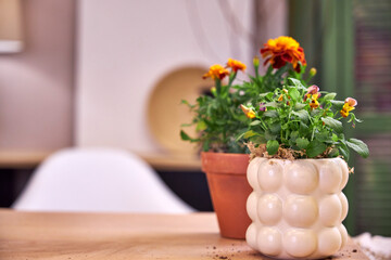 Front view of flowers in modern ceramic planters on a table against a beige wall, with copy space