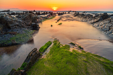 Entre musgos y sedas al atardecer, Barrika, Pais Vasco