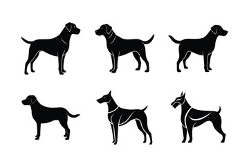 Black Labrador Retriever Dog Breed Vector Bold 24