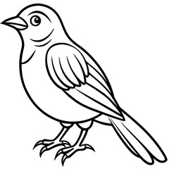 Obraz premium vector illustration of a bird