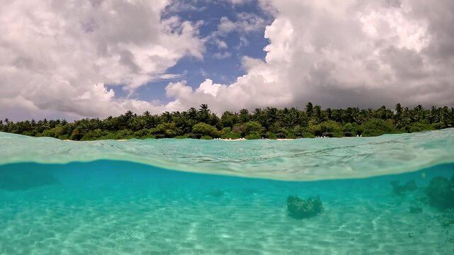 Underwater view in Bora Bora shows clear turquoise water with a rocky formation beneath the surface, surrounded by lush greenery of the island.