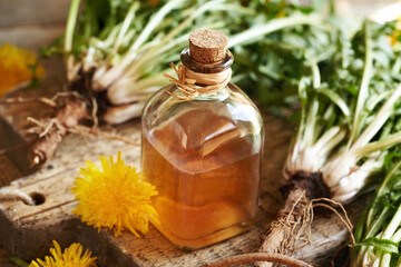A bottle of dandelion root tincture on a table © Madeleine Steinbach