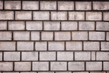 Fototapeta premium brick wall background