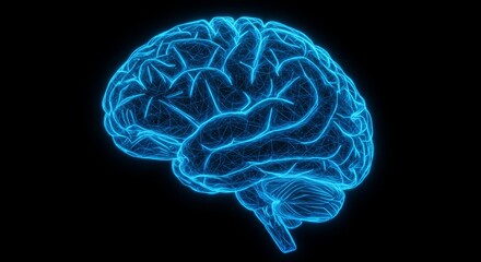 Blue Wireframe Brain X Ray 2025 - Medical neurology, mind science, brain anatomy, neural network, cognitive function