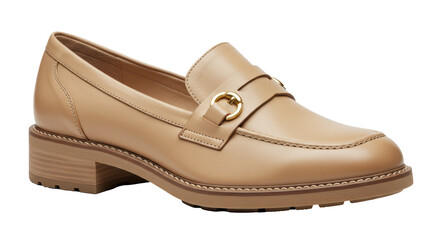 Isolated Loafer Shoe with Gold Buckle Elegance
