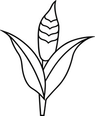 black and white flower vector