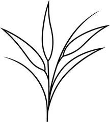 vector black silhouette of plant