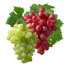 Fototapeta premium Red and green grape clusters with leaves isolated on transparent background. isolated white background