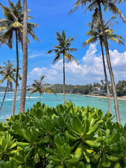 A tropical scene with lush greenery and palms in the foreground, turquoise water and boats in the background.