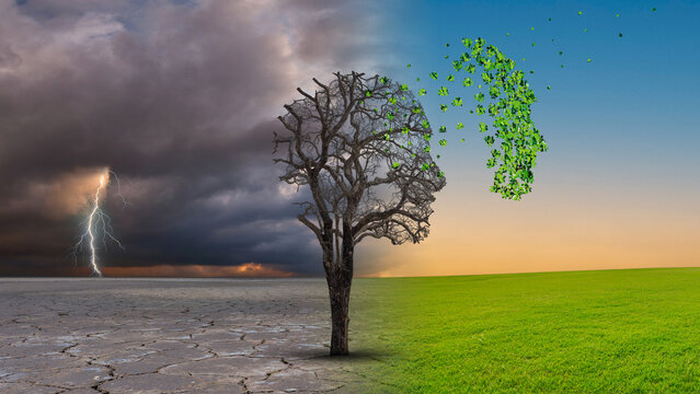 Dementia disease coping with Alzheimer's illness as a medical icon of a tree in the shape of a front view human head and brain losing leaves as aging challenges in intelligence and memory loss.