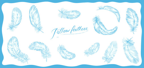 Feathers on white background. Hand drawn black fluffy feathers. Line and Ink sketch. Vintage style. Ethnic boho style hand drawing. ector clipart illustration. 