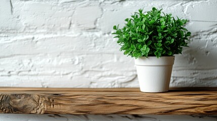 Small potted plant on wooden shelf against white brick wall