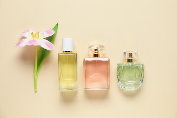 Bottles of perfume and beautiful flower on beige background, flat lay
