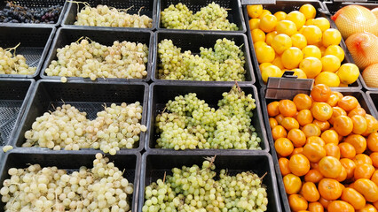 Fruits, green grapes, oranges, tangerines in boxes. Supermarket shelves. Retail industry. Local Farmers market. Grocery store. product. Food. Greengrocers stall. Veg. Family shop. Seasonal supplier.