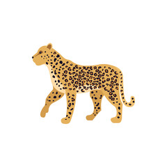 leopard cat feline animal vector illustration emoji symbol sign icon flat design