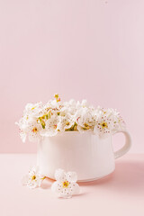 Beautiful spring white flowers in a white cup against pink background