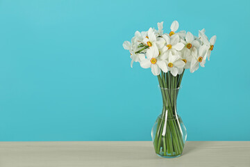 Beautiful daffodils in vase on wooden table against turquoise background. Space for text