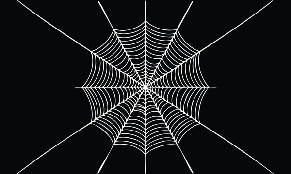 Xtra Spooky Web Vector Illustration