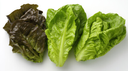 Fresh lettuce varieties including green and red leaves, showcasing vibrant colors and textures, perfect for salads and healthy dishes. This captures essence of fresh vegetables
