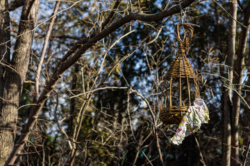 
Handmade wicker birdcage hanging on forest branch with torn foil ribbon fluttering.  

