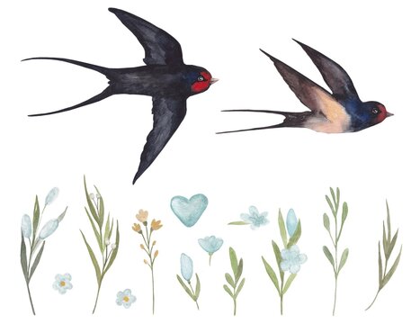 A set of watercolor illustrations of swallows and flowers