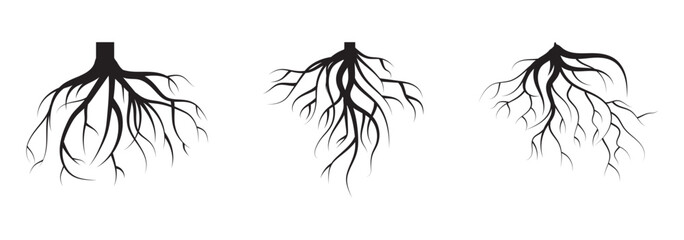 Tree roots silhouettes isolated on white, vector set of taproot and fibrous root systems of various plants, realistic black roots illustrations