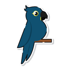 Blue parrot on branch sideview. Vector