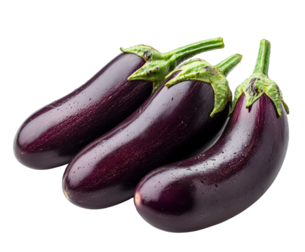 Fresh eggplants harvested in garden organic produce displayed isolated on transparent background