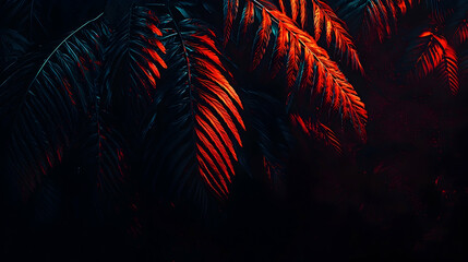 Tropical palm leaves illuminated by sunset, dark background, nature wallpaper