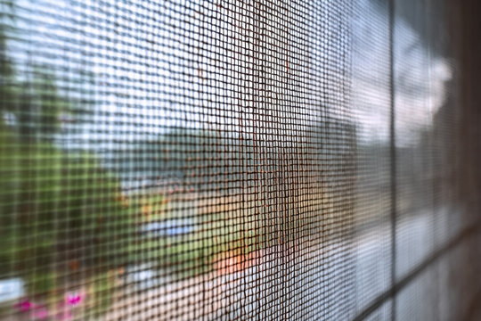 mosquito net wire screen on house window protection against insect 

