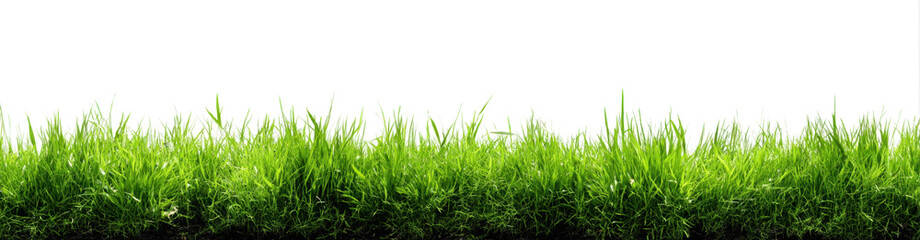 Fototapeta premium Hi Resolution image of Fresh green grass isolated against a transparent background 