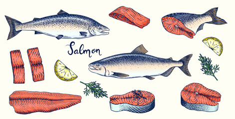 Fish sketch. Salmon fillet, ink hand drawn vector illustration. Steaks slices. Fresh product. Engraved style vintage seafood. sea food restaurant menu, cooking recipe, product package, card