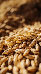 Obraz premium Wheat mound surrounded by grains