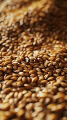 Obraz premium A detailed view of grains scattered on a table with a hazy depiction of the grains in the backdrop