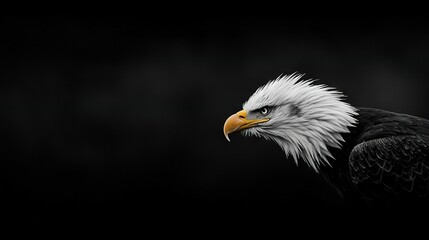 Obraz premium A black-and-white image of a bald eagle's head against a backdrop of its own head