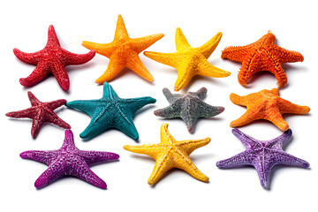 Colorful Starfish Collection Vibrant Ocean Treasures Summer Vibes