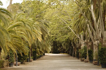 Obraz premium JARDIN BOTANICO LA CONCEPCION. MÁLAGA.