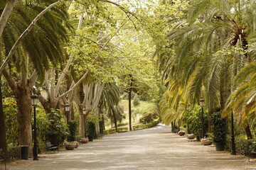JARDIN BOTANICO LA CONCEPCION. MÁLAGA.