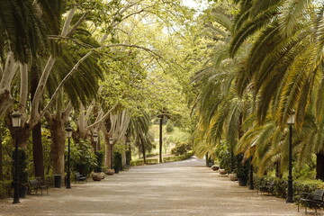 Obraz premium JARDIN BOTANICO LA CONCEPCION. MÁLAGA.