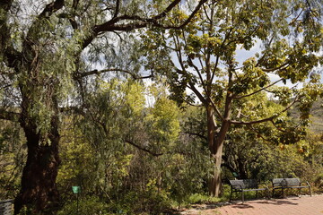 JARDIN BOTANICO LA CONCEPCION. MÁLAGA.