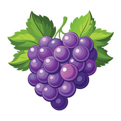 Cluster of purple grapes with green leaves