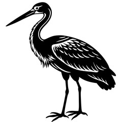 Obraz premium black crowned night heron Vector icon illustration silhouette Graphics design image white background