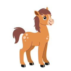 Cartoon foal. Cute small horse. Colored funny farm animal. Vector colorful illustration isolated on white background.