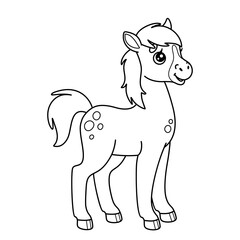 Outline foal. Contour cartoon small horse. Cute farm animal. Black and white picture. Vector illustration isolated on white background. Perfect for kids coloring book.