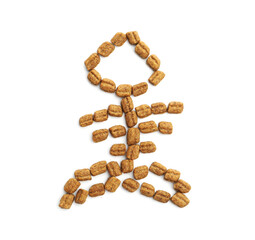 Fish skeleton made of dry pet food isolated on white, top view